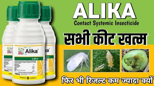 PlantAlikaa (Pack of 5)