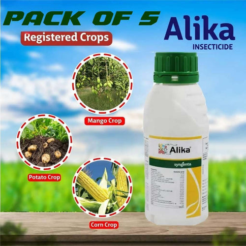 PlantAlikaa (Pack of 5)