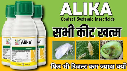 PlantAlikaa (Pack of 5)
